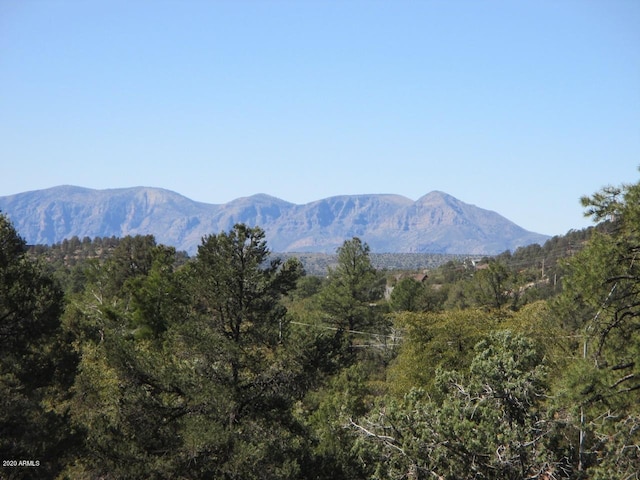 1701 N Beeline Hwy Unit 2, Payson AZ, 85541 land for sale