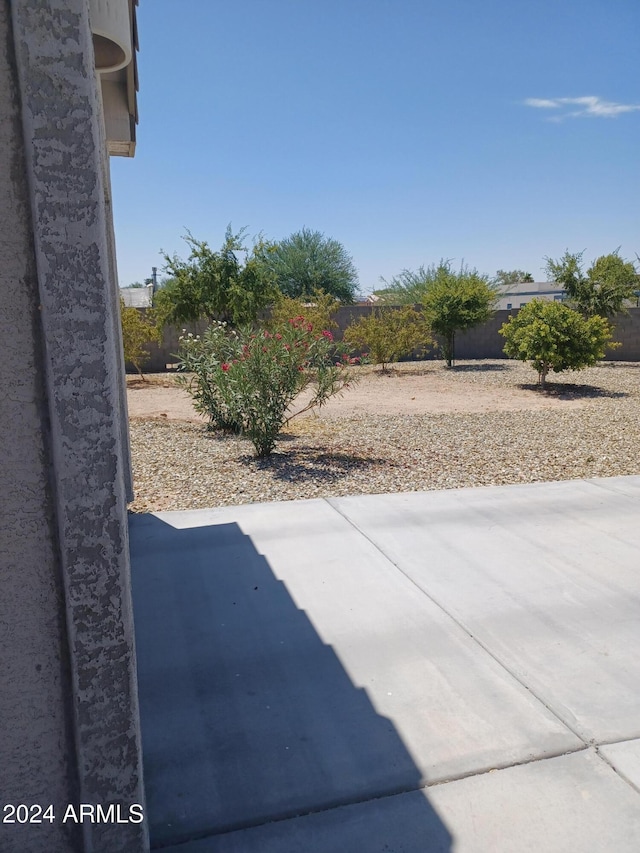 view of yard with a patio area