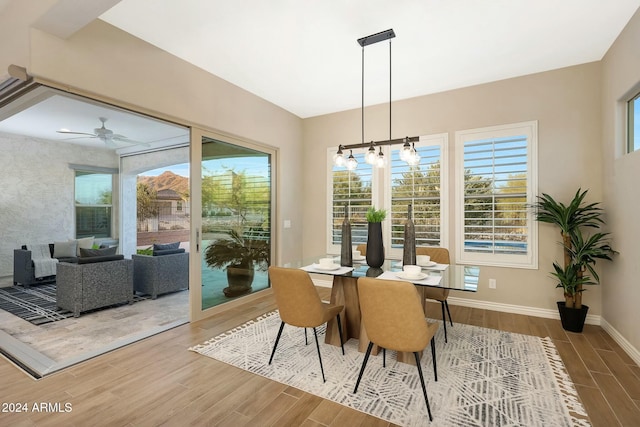 dining room featuring ceiling fan with notable chandelier and hardwood / wood-style flooring