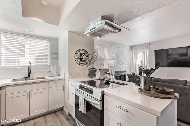 kitchen featuring light stone counters, stainless steel appliances, sink, light hardwood / wood-style flooring, and white cabinetry