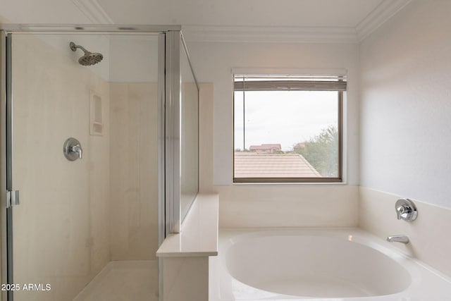694 W Desert Seasons Dr, San Tan Valley, AZ 85143 - full bath with a stall shower, a garden tub, and ornamental molding