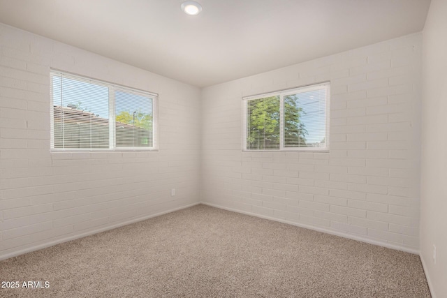 spare room featuring carpet floors and plenty of natural light
