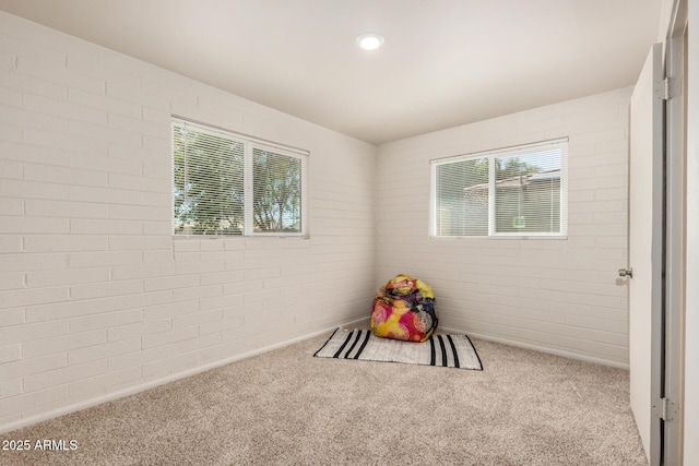 recreation room with a wealth of natural light and carpet
