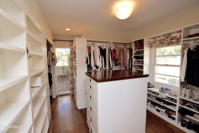 walk in closet with dark hardwood / wood-style floors