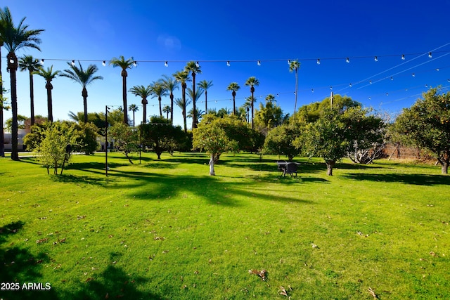 view of home's community featuring a lawn