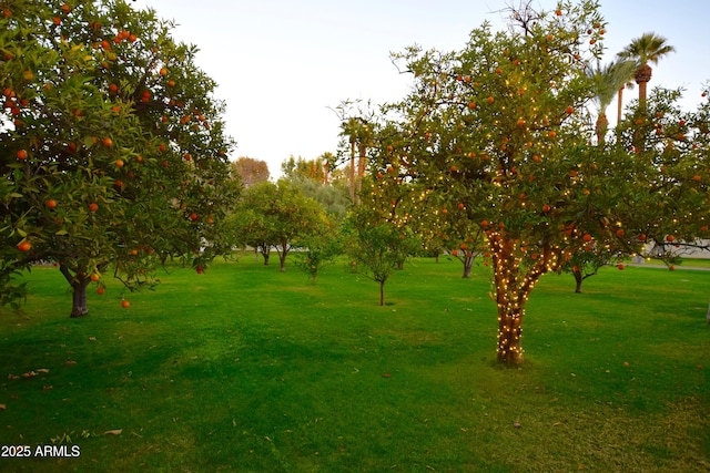 view of property's community featuring a lawn