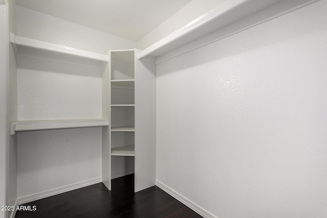 walk in closet featuring dark wood-type flooring