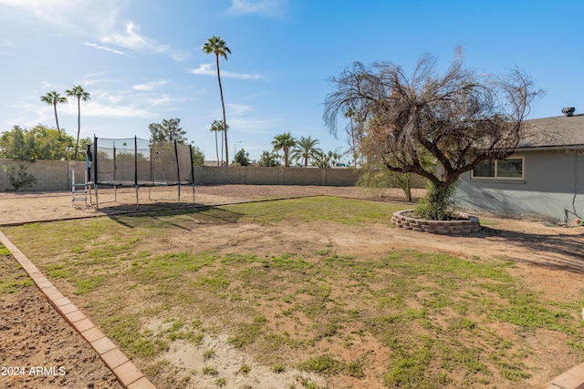 view of yard featuring a trampoline