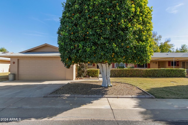 obstructed view of property featuring a front yard