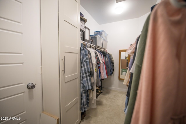 walk in closet featuring light colored carpet