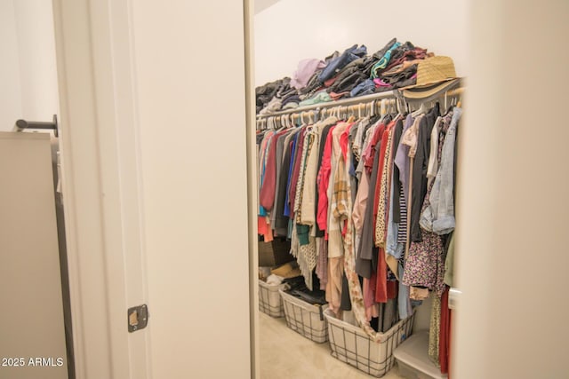 view of closet