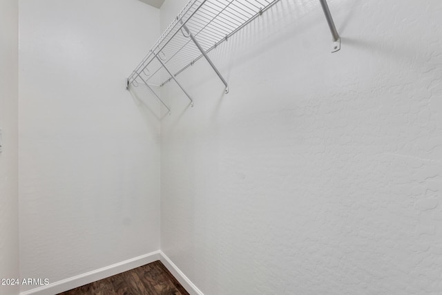 spacious closet featuring hardwood / wood-style flooring