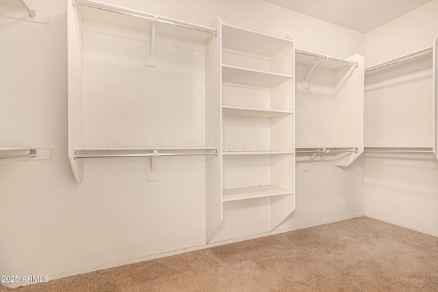 walk in closet with carpet floors