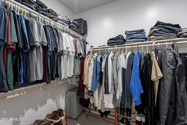 walk in closet featuring carpet flooring