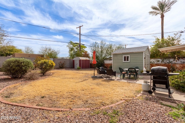 view of yard featuring a patio area and a storage unit