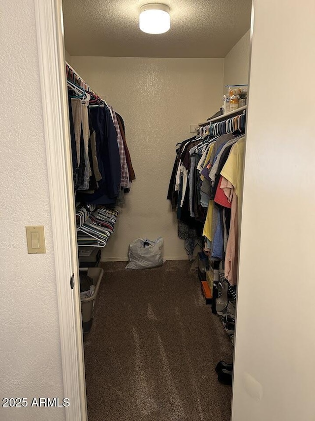 8981 W Tuckey Ln, Glendale, AZ 85305 - spacious closet featuring carpet floors