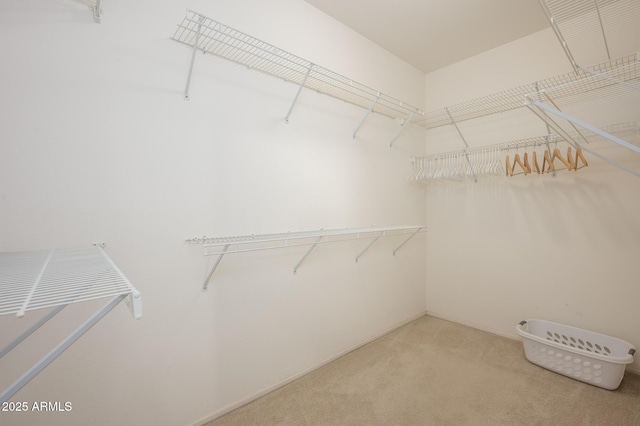 spacious closet with carpet floors