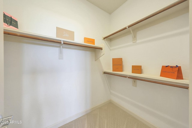 20750 N 87th St Unit 2062, Scottsdale, AZ 85255 - walk in closet featuring carpet flooring