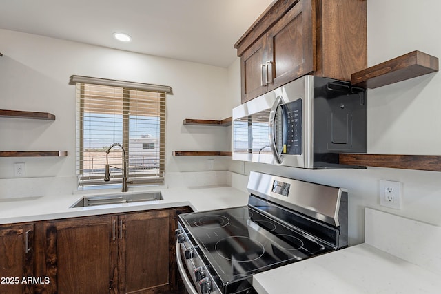 kitchen with dark brown cabinetry, stainless steel appliances, and sink