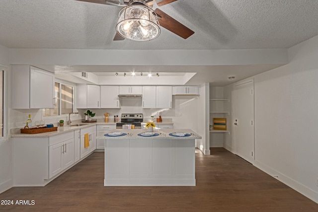 kitchen with white cabinets, stainless steel electric range oven, ceiling fan, and dark hardwood / wood-style flooring