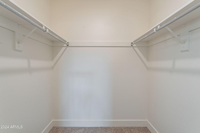 spacious closet with carpet floors