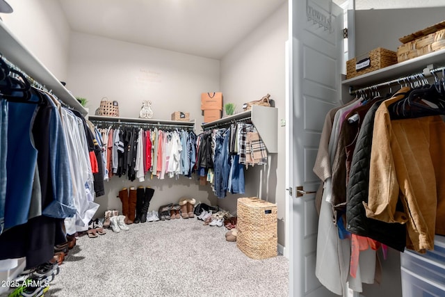 walk in closet with carpet floors