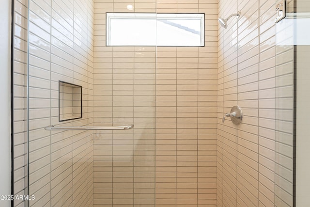 17966 W Long Lake Rd, Goodyear, AZ 85338 - bathroom with a shower stall