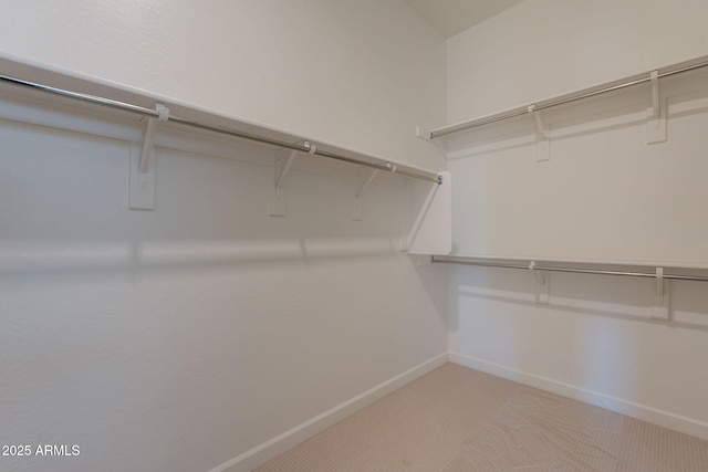 17966 W Long Lake Rd, Goodyear, AZ 85338 - spacious closet featuring light colored carpet