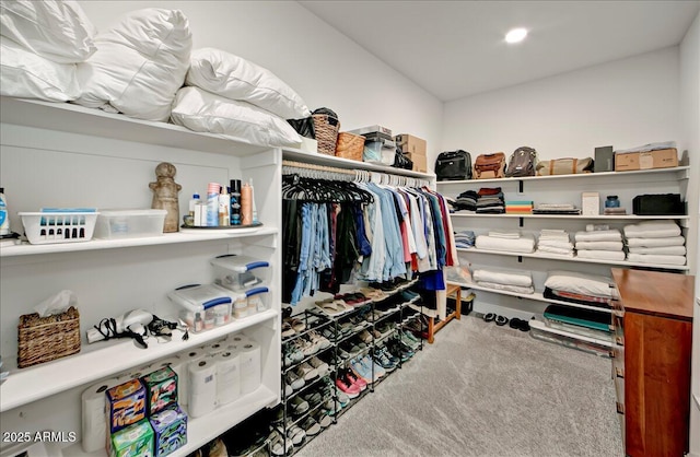 spacious closet with carpet