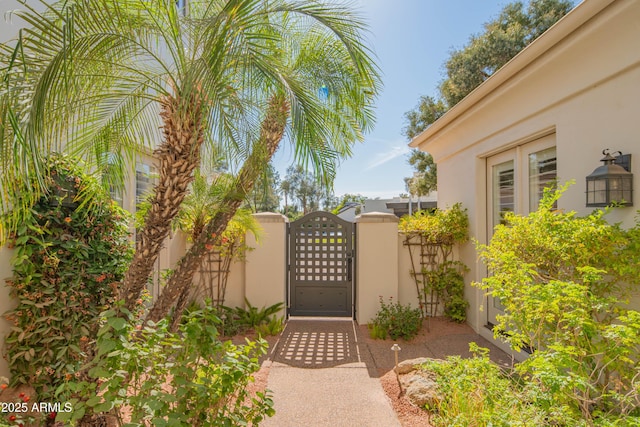 9905 N 78th Pl, Scottsdale, AZ 85258 - view of gate with fence