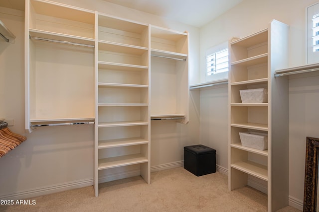 9905 N 78th Pl, Scottsdale, AZ 85258 - spacious closet with carpet floors