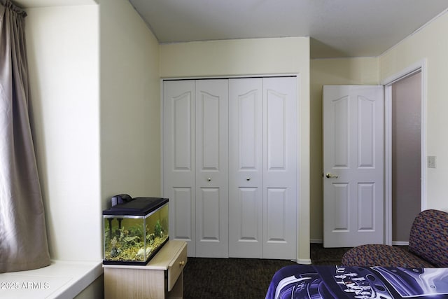 1623 E Krystal St, Casa Grande, AZ 85122 - bedroom featuring a closet and dark carpet