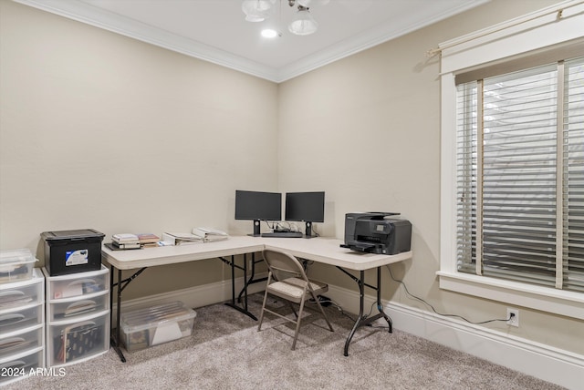 office space featuring ornamental molding and light colored carpet