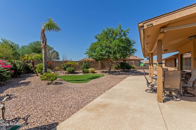 view of yard featuring a patio area