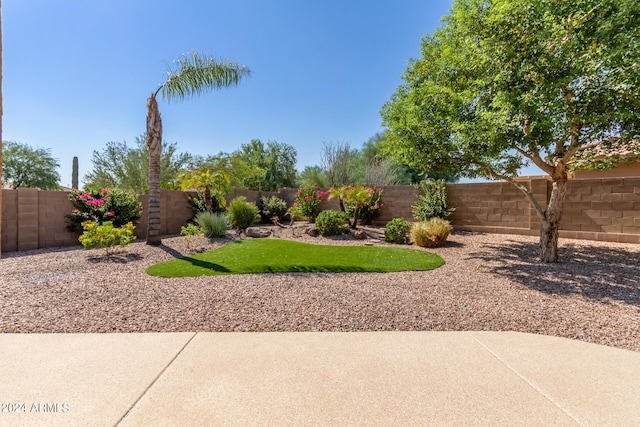 view of yard featuring a patio