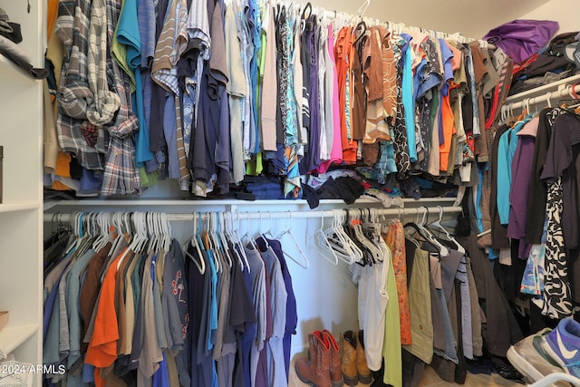 view of walk in closet