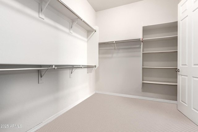 walk in closet with carpet floors