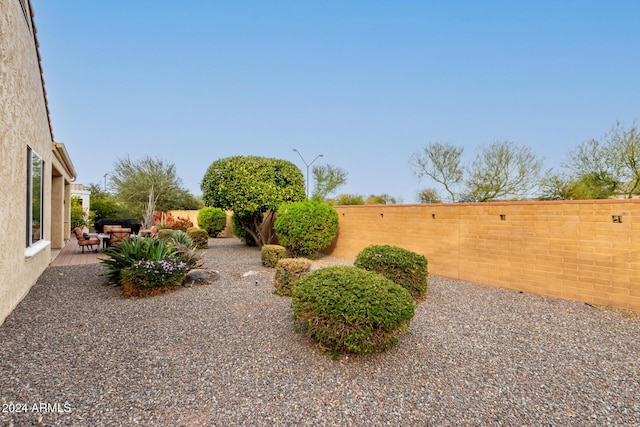 view of yard featuring a patio area