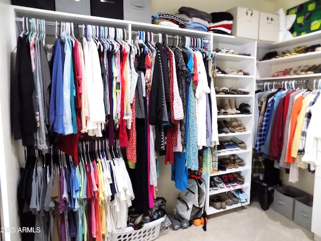 view of spacious closet