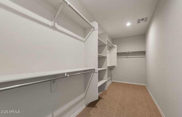 spacious closet featuring light carpet