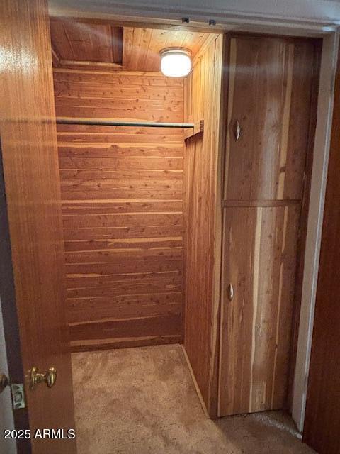 view of closet