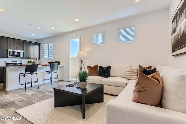 living room with light hardwood / wood-style floors