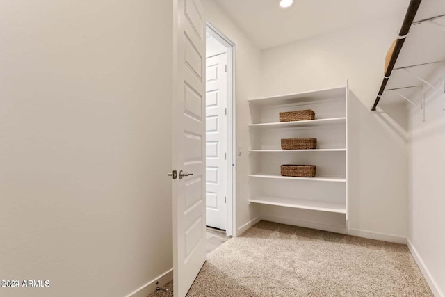 spacious closet featuring light carpet