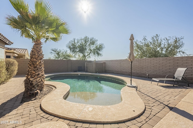 view of swimming pool featuring a patio