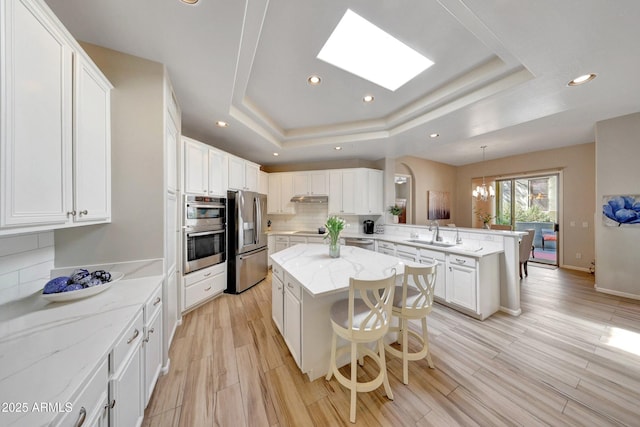 kitchen with a sink, appliances with stainless steel finishes, a raised ceiling, and under cabinet range hood