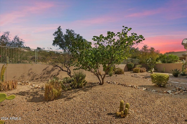 view of yard at dusk