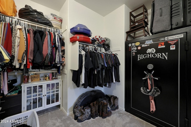 spacious closet with carpet floors