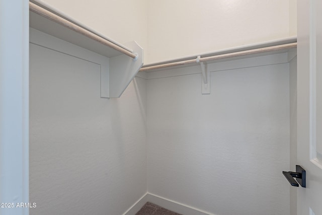 spacious closet with carpet