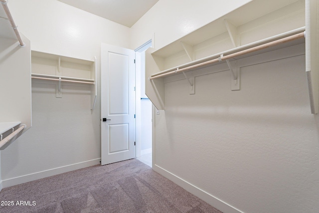 walk in closet with carpet floors