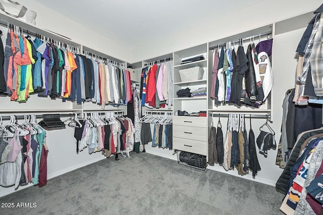 walk in closet with carpet flooring